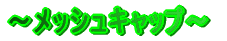 `@ۂ̃K[h[v`